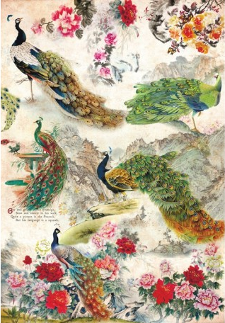 [PA194] Papel Arroz Decorado 30x40 cm. -Pavo Real- Cadence