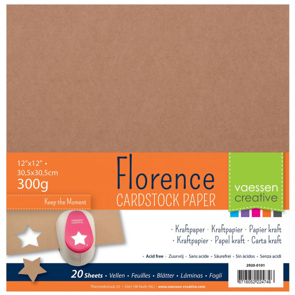 [2920-0101] Pack 20 Hojas Papel Kraft Marrón 30,5 x 30,5 mm. 300 gr. -Florence- Vaessen