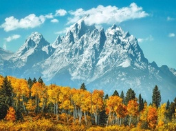 [35034 6] Puzzle 500 piezas -Grand Teton in Fall- Clementoni