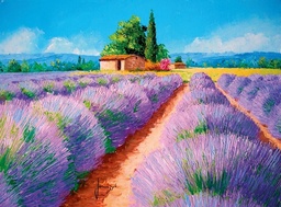 [35073 5] Puzzle 500 piezas -Lavanda- Clementoni