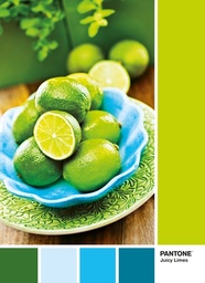 [39492 0] Puzzle 1000 piezas -Pantone: Lime Punch- Clementoni