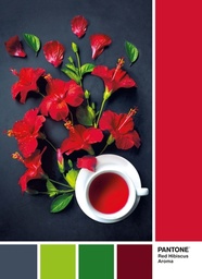 [39494 4] Puzzle 1000 piezas -Pantone: Goji Berry- Clementoni