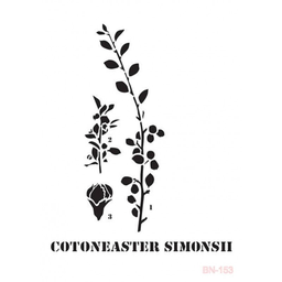 [BN153] Plantilla Stencil 25 x 36 cm. -Cotoneaster- Cadence