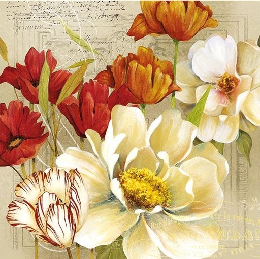 Servilleta 33 x 33 cm. -Coralie-