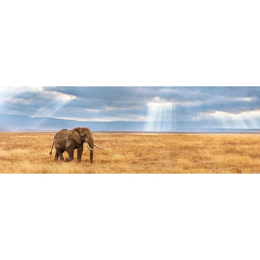 [39484 5] Puzzle 1000 piezas -Panorama: Lost- Clementoni