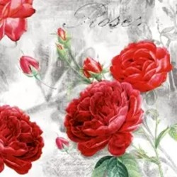 Servilleta 33 x 33 cm. -Rosa Garden-