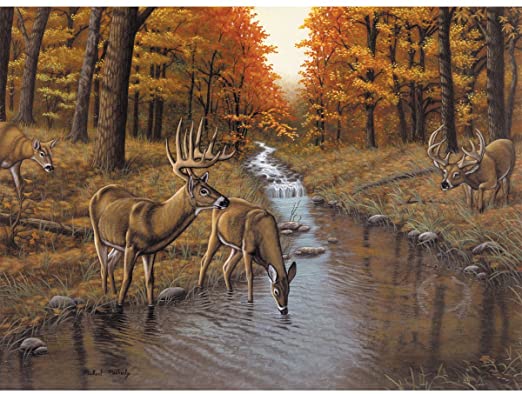 [PAL23] Pintar Por Números 32,4 x 40 cm. -Symond's Creek- Royal & Langnickel