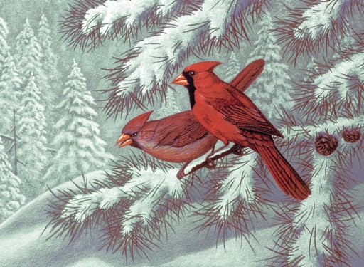 [PAL32] LIQUIDACION Pintar Por Números 32,4 x 40 cm. -Cardenales- Royal & Langnickel