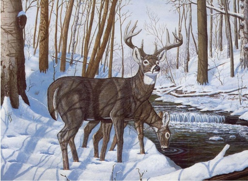 [PAL43] LIQUIDACION Pintar Por Números 32,4 x 40 cm. -Ciervos en la Nieve- Royal & Langnickel