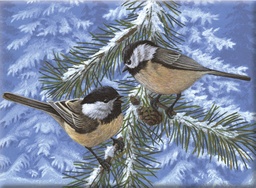 [MFP6] Pintar Por Números 22,2 x 29,8 cm. -Pájaros en el Arbol- Royal & Langnickel