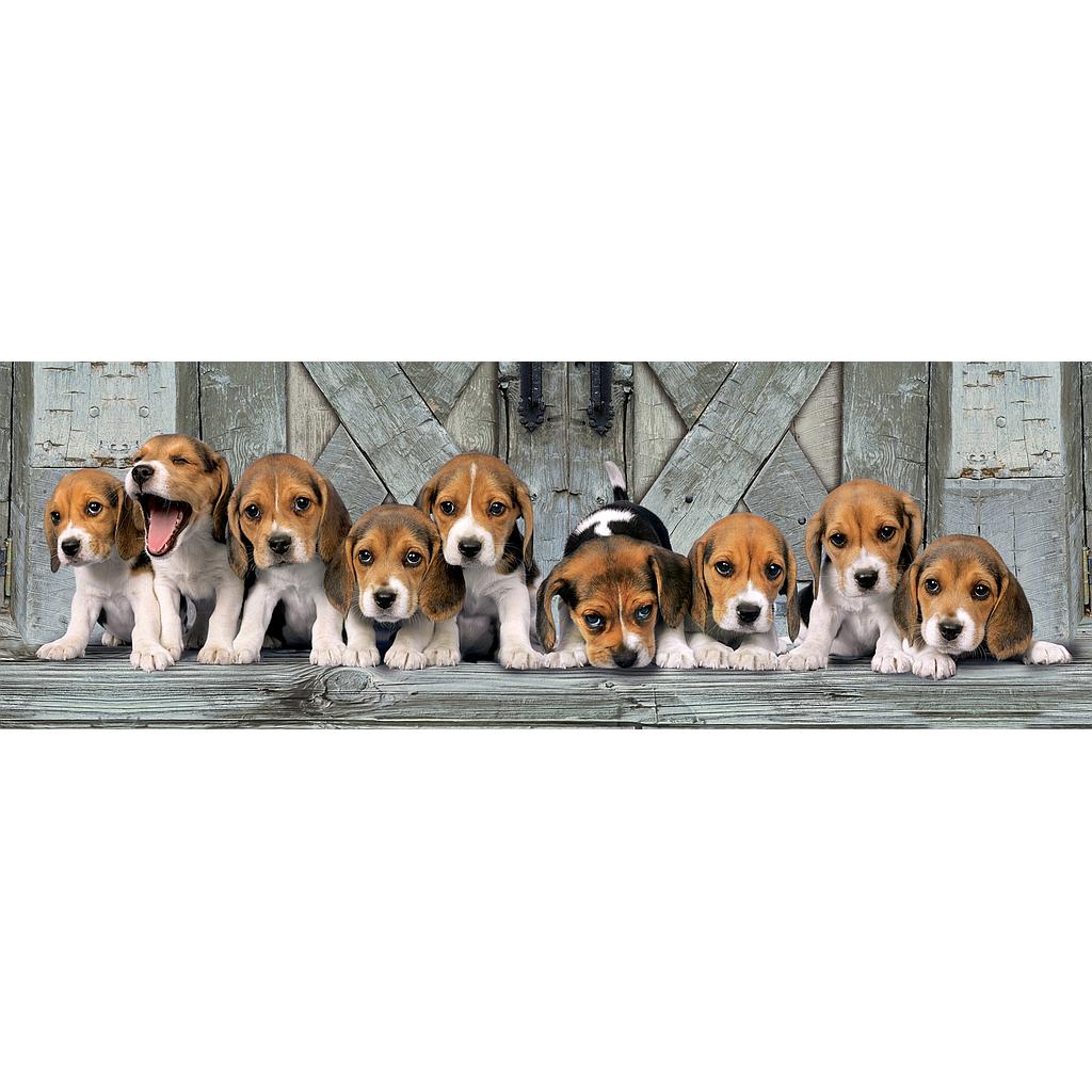 [39435 7] Puzzle 1000 piezas -Panorama: Beagles- Clementoni
