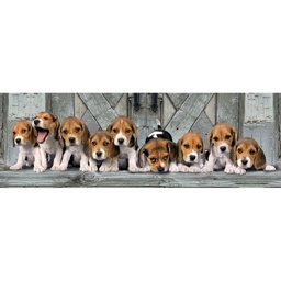 [39435 7] Puzzle 1000 piezas -Panorama: Beagles- Clementoni