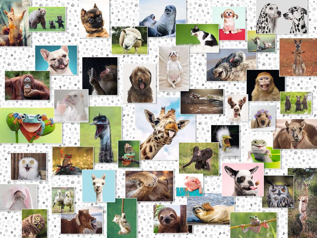 [16711 1] Puzzle 1500 piezas -Collage de Animales Divertidos- Ravensburger