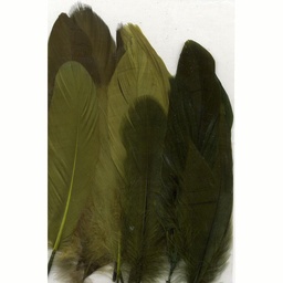 [12238-3806] Plumas 15,5 - 20 cm. -Bosque- (15 pzs.)