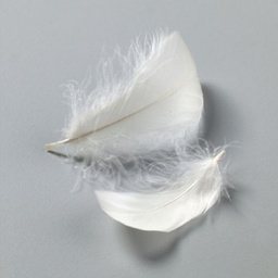 [1004204] Plumas 8-10 cm. Vainilla (10 gr. 110 uds. aprox.)