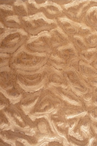 [25937] Chapa Precompuesta Pommele 33 x 60 cm. Aprox. Taracea 0,60 mm.