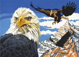 [PL/97] Pintar Por Números 30 x 40 cm. -Aguilas- Reeves